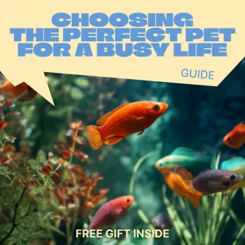 Best Low-Maintenance Pets for Busy People: Quick Guide