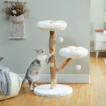 Flower Cat Tree Guide: Petal Perches, Play & Stability